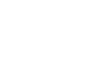 B&L Technologies Logo White